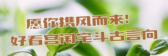 願你攜風而來！好看宮闈宅鬥古言向